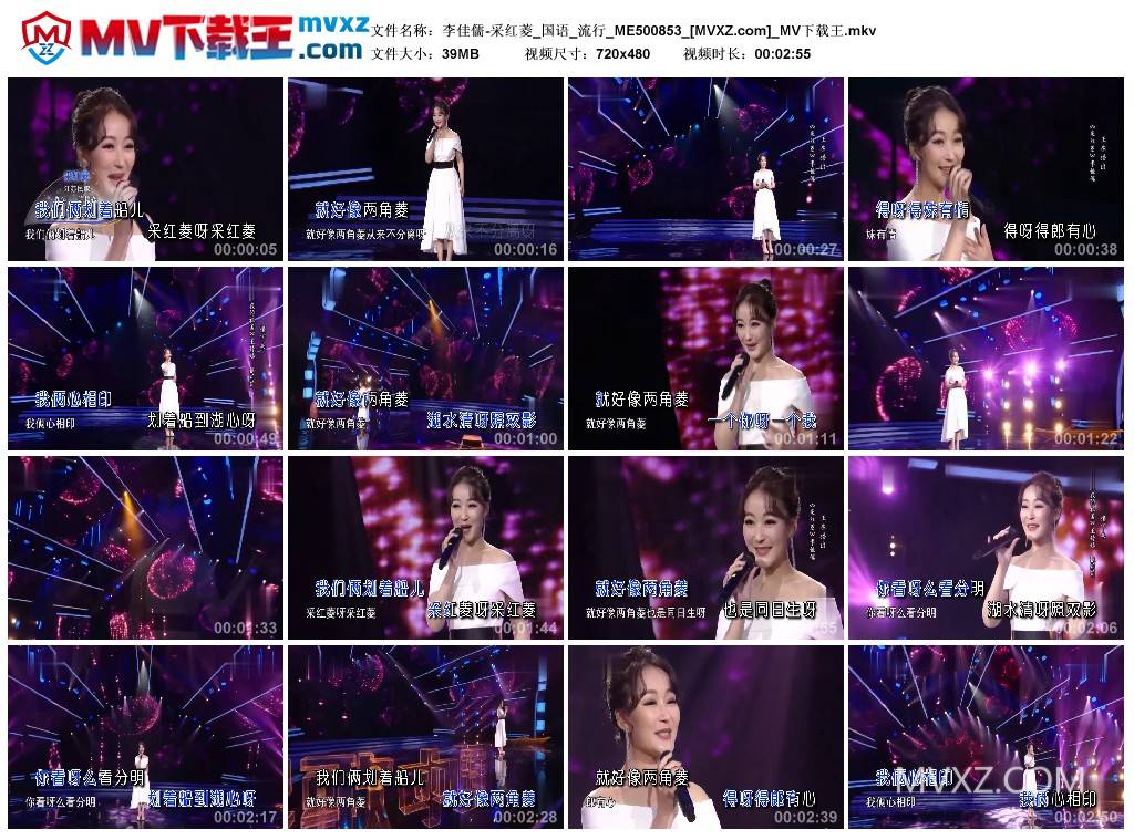李佳儒-采红菱_国语_流行_ME500853